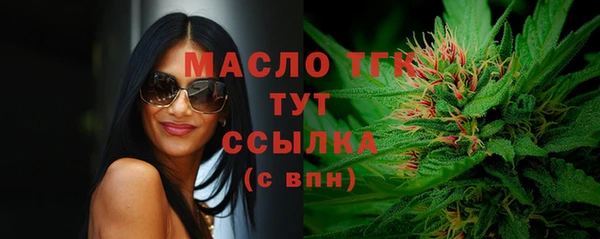 твердый Зеленодольск
