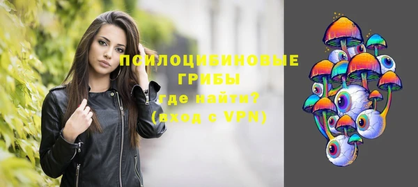 твердый Зеленодольск