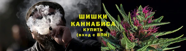 сатива Зерноград