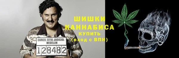 сатива Зерноград