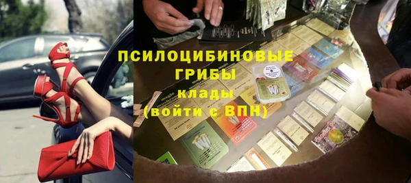 сатива Зерноград