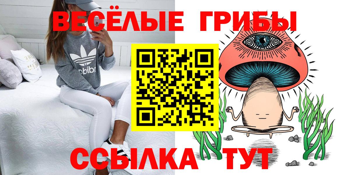 Каменка  Псилоцибиновые грибы MAGIC MUSHROOMS  Вход с VPN 